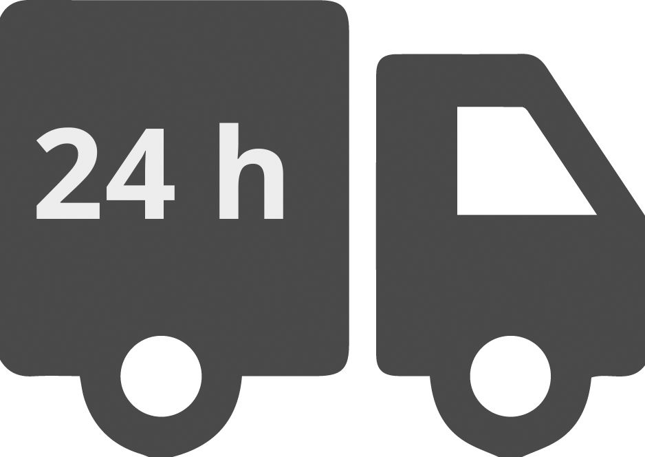 Symbol Lieferung frei Haus in 24 Stunden